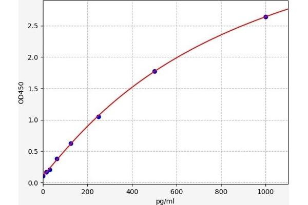 FOXM1 ELISA Kit