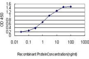 Detection limit for recombinant GST tagged IL23R is approximately 0. (IL23R antibody  (AA 553-628))
