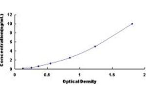 ALDH9A1 ELISA Kit