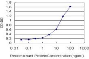Detection limit for recombinant GST tagged MAPK9 is approximately 0. (JNK2 antibody  (AA 321-424))