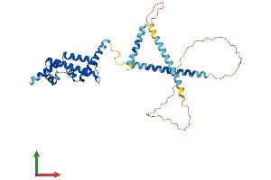 AlphaFold protein structure predicition of Human Recombinant CFAP36 Protein, UniprotID Q96G28