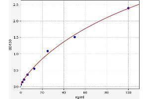 RNASE7 ELISA Kit