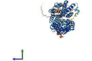 AlphaFold protein structure predicition of Mouse Recombinant Svop Protein, UniprotID Q8BFT9 (SVOP Protein (AA 1-548) (His tag))