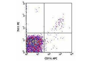 Flow Cytometry (FACS) image for anti-C-Type Lectin Domain Family 9, Member A (CLEC9A) antibody (PE) (ABIN2662625) (CLEC9A antibody  (PE))