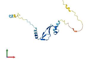 AlphaFold protein structure predicition of Mouse Recombinant Btf3l4 Protein, UniprotID Q9CQH7