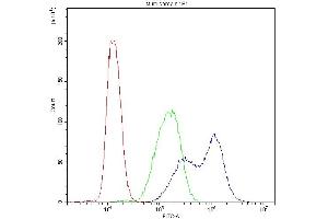 Flow Cytometry analysis of THP-1 cells using anti-BIK antibody (ABIN3043509). (BIK antibody  (AA 1-123))