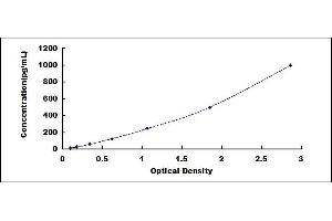 Typical standard curve (Interferon gamma ELISA Kit)