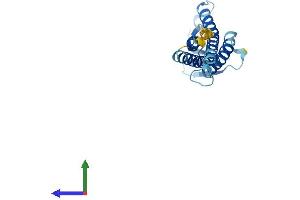 AlphaFold protein structure predicition of Human Recombinant CLDN4 Protein, UniprotID O14493 (Claudin 4 Protein (CLDN4) (AA 1-209) (His tag))