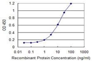 Detection limit for recombinant GST tagged SCUBE3 is 0. (SCUBE3 antibody  (AA 29-147))