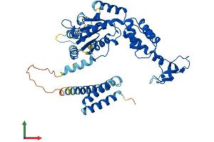 Protein Structure (PS) image for Vacuolar Protein Sorting-Associated Protein 4A (VPS4A) (AA 1-437) protein (His tag) (ABIN7555990)