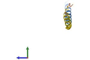 AlphaFold protein structure predicition of Human Recombinant HMSD Protein, UniprotID P0C7T4 (Histocompatibility (Minor) Serpin Domain Containing (HMSD) (AA 1-53) protein (Fc Tag))