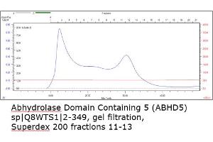 Size-exclusion chromatography-High Pressure Liquid Chromatography (SEC-HPLC) image for Abhydrolase Domain Containing 5 (ABHD5) (AA 2-349) protein (His tag) (ABIN3088274) (ABHD5 Protein (AA 2-349) (His tag))