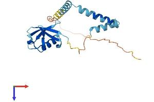 UBL4B Protein (AA 1-188) (His tag)