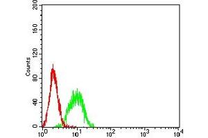 Flow cytometric analysis of K562 cells using BTN1A1 mouse mAb (green) and negative control (red). (BTN1A1 antibody  (AA 27-242))
