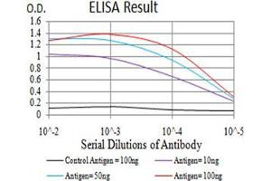 ELISA image for anti-Major Histocompatibility Complex, Class I, B (HLA-B) (AA 241-362) antibody (ABIN5542338)