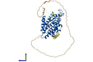AlphaFold protein structure predicition of Mouse Recombinant Rxrg Protein, UniprotID P28705 (Retinoid X Receptor gamma Protein (AA 1-463) (His tag))