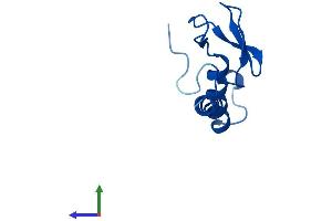 AlphaFold protein structure predicition of Human Recombinant RPL37AP8 Protein, UniprotID A6NKH3 (RPL37AP8 Protein (AA 1-93) (His tag))