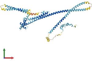 AlphaFold protein structure predicition of Mouse Recombinant Ccdc148 Protein, UniprotID Q6P5U8 (CCDC148 Protein (AA 1-527) (His tag))