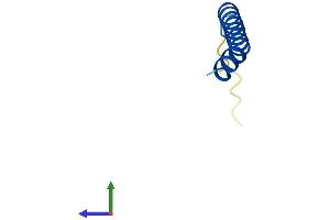 AlphaFold protein structure predicition of Mouse Recombinant Tomm5 Protein, UniprotID B1AXP6