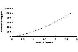 Typical standard curve (COL1A1 ELISA Kit)