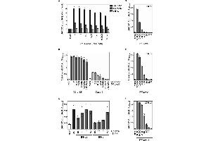 The icELISA test allows quantification of SARS-CoV-2 replication and its inhibition by antiviral compounds. (SARS-CoV-2 Envelope antibody  (N-Term))