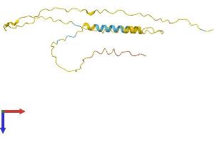 AlphaFold protein structure predicition of Human Recombinant NFE4 Protein, UniprotID Q86UQ8 (NFE4 Protein (AA 1-179) (His tag))