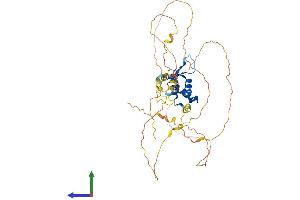 Protein Structure (PS) image for Forkhead Box A2 (FOXA2) (AA 1-459) protein (His tag) (ABIN7563180)