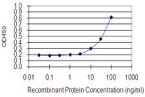 Detection limit for recombinant GST tagged FCRLB is 3 ng/ml as a capture antibody. (FCRLB antibody  (AA 89-174))
