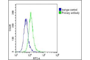Overlay histogram showing A549 cells stained with C(green line). (MED14 antibody  (AA 586-615))