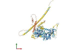 AlphaFold protein structure predicition of Mouse Recombinant Hells Protein, UniprotID Q60848