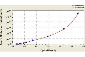 Typical Standard Curve (Surfactant Protein C ELISA Kit)