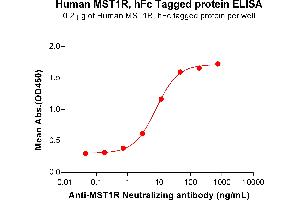ELISA image for Macrophage Stimulating 1 Receptor (C-Met-Related tyrosine Kinase) (MST1R) (AA 25-957) protein (Fc Tag) (ABIN6964141)