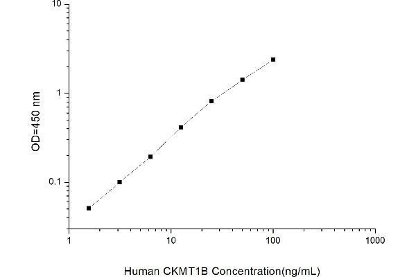 CKMT1B ELISA Kit