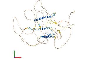 AlphaFold protein structure predicition of Human Recombinant UIMC1 Protein, UniprotID Q96RL1
