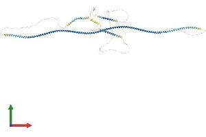 Coiled-Coil Domain Containing 110 (CCDC110) (AA 1-833) protein (His tag)