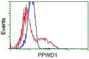 HEK293T cells transfected with either RC204570 overexpress plasmid (Red) or empty vector control plasmid (Blue) were immunostained by anti-PPWD1 antibody (ABIN2453498), and then analyzed by flow cytometry. (PPWD1 antibody)