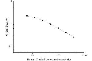 Cortisol ELISA Kit