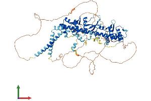 AlphaFold protein structure predicition of Mouse Recombinant Ggnbp2 Protein, UniprotID Q5SV77 (GGNBP2 Protein (AA 1-696) (His tag))