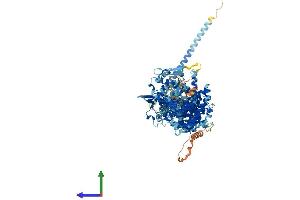 AlphaFold protein structure predicition of Mouse Recombinant Ube3b Protein, UniprotID Q9ES34 (UBE3B Protein (AA 1-1070) (His tag))