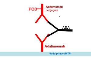 Image no. 2 for Adalimumab Antibody ELISA Kit (ABIN2862660) (Adalimumab Antibody ELISA Kit)