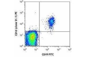 Flow Cytometry (FACS) image for anti-CD1d Molecule (CD1D) antibody (PE) (ABIN2662518) (CD1d antibody  (PE))
