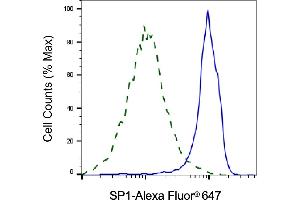 Validation of SP1 knockdown using flow cytometry. (SP1 antibody)