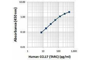 ELISA image for anti-Chemokine (C-C Motif) Ligand 17 (CCL17) antibody (Biotin) (ABIN2660891) (CCL17 antibody  (Biotin))