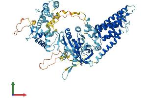 AlphaFold protein structure predicition of Human Recombinant NOX5 Protein, UniprotID Q96PH1