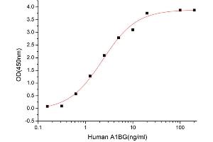 alpha-1-B Glycoprotein (A1BG) (AA 22-495) (Active) protein (His tag)