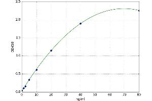 Secreted Frizzled-Related Protein 2 (SFRP2) ELISA Kit