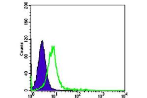 Flow cytometric analysis of K-562 cells using CHD3 monoclonal antibody, clone 2G4  (green) and negative control (purple). (CHD3 antibody)