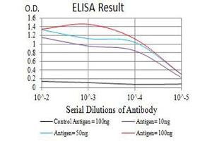 Black line: Control Antigen (100 ng),Purple line: Antigen (10 ng), Blue line: Antigen (50 ng), Red line:Antigen (100 ng) (BCL2L2 antibody  (AA 6-118))