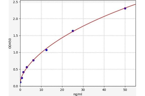 Peroxiredoxin 2 ELISA Kit