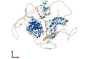 Protein Structure (PS) image for Lysine (K)-Specific Demethylase 2B (KDM2B) (AA 1-1309) protein (His tag) (ABIN7564078)